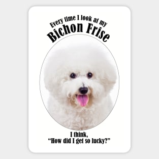 Lucky Bichon Sticker